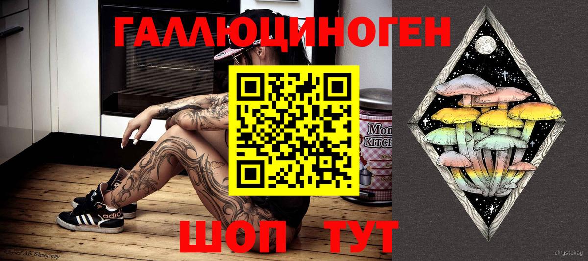 Псилоцибиновые грибы Psilocybe Котельники
